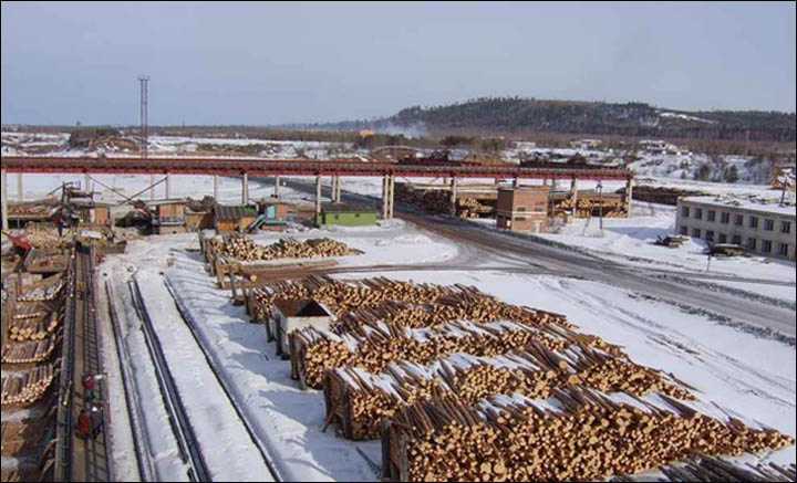 wood is one of the greatest import export business opportunities in India