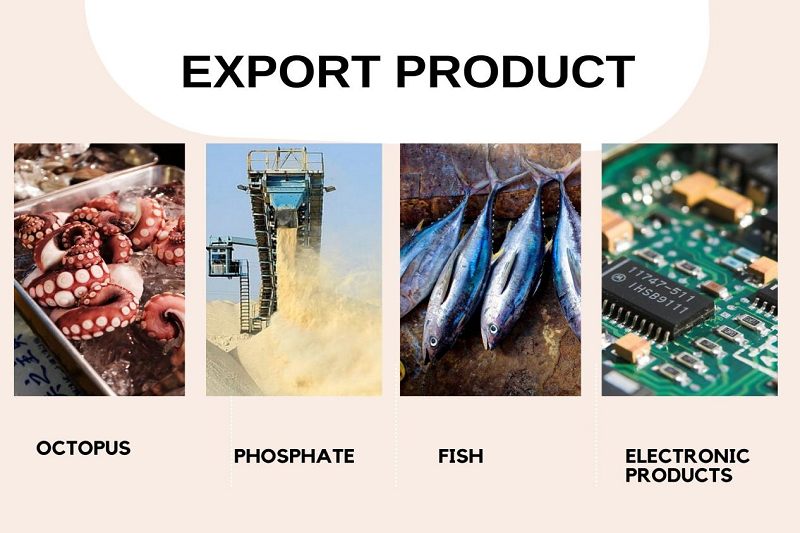 Morocco Export products