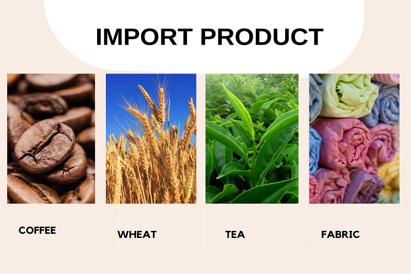 Morocco import products