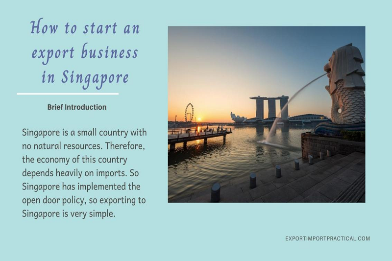 Steps of exporting to Singapore.