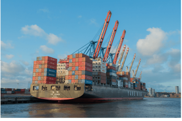 import export business opportunities